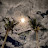 @NoraabdullahAL.AWWAMI