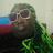 Avatar de @IrynMsina