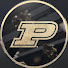 e_0TtqiJalU-channel-avatar-Purdue Golduster Dance Team