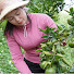 FM9q6o4vfzQ-channel-avatar-Ngan Daily Farm
