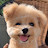 @pandafeet224's avatar