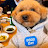 @johnnari_thetoypoodle