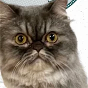 南国写楽【旧56散歩】