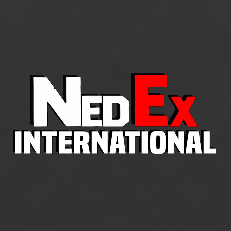 NedEx International