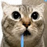 VNzFEk-nZAE-channel-avatar-Luisa Woffi