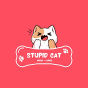 Stupid Cat
