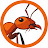 Cole's Ants