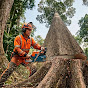 Tree Sawing Channel