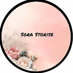 Sora storise 2
