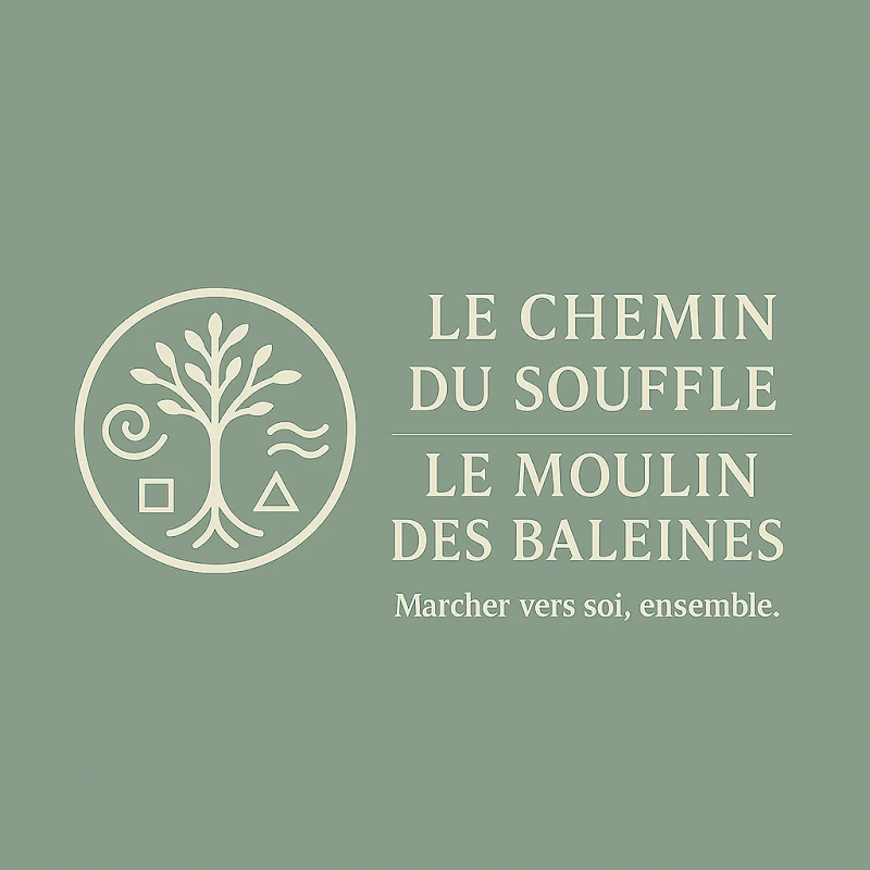 vincent schollhammer