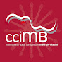 International Guitar Competition Maurizio Biasini  logo