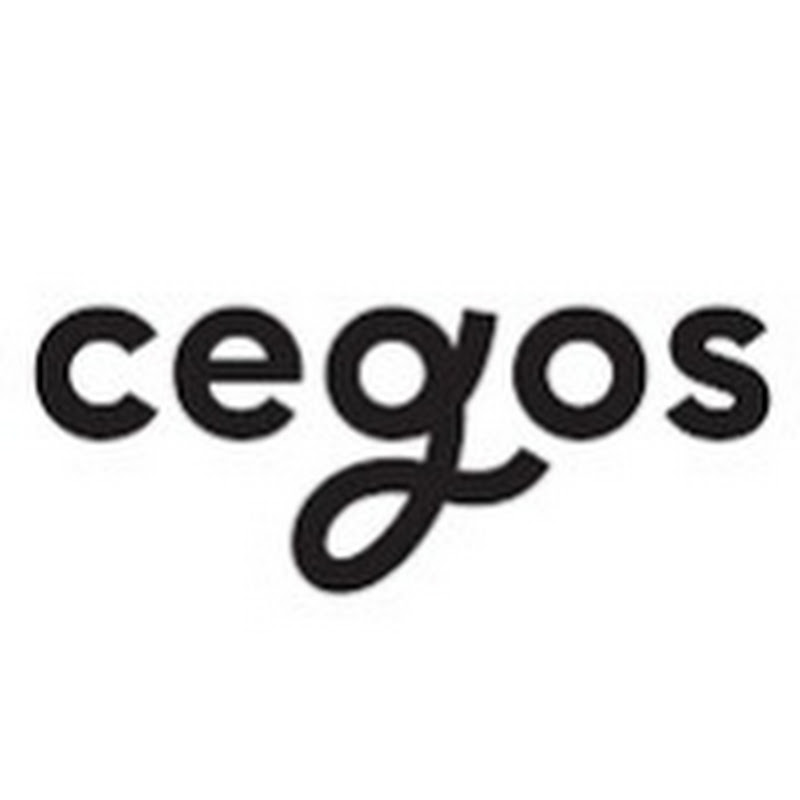Cegos Channels & Alliances