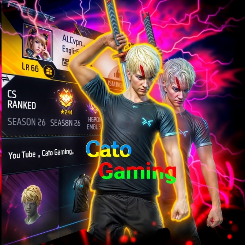 Coto gaming358