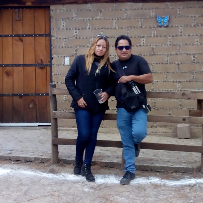 Alber y El Tianguis de Autos Virtual