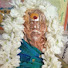 KbuLJt1ZbEE-channel-avatar-Sadguru Sri Sivan SAR