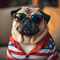 PUG DAILY USA logo