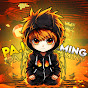 Paji Gaming logo