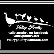 Valley Poultry