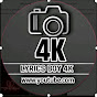 4k status june 138 