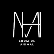 Zoom on Animals