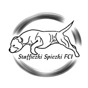 Stafficzki Spiczki FCI 
