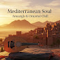 Mediterranean SoulAmazigh • Arabe • Oriental Music logo