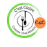 NTy03y582RU-channel-avatar-C'est claire