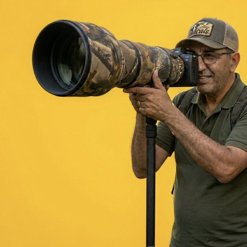 Widar hassan