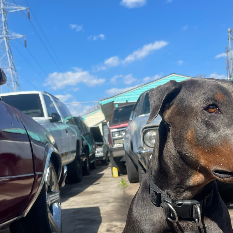 Junkyard Jerry