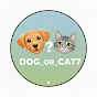 DOG OR CAT7 logo