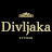 Studio Divljaka 