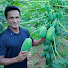 -8iHyvq9fUo-channel-avatar-সৌখিন কৃষক