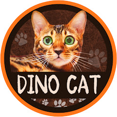 DINO CAT Avatar