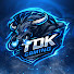 q6mYNN_x0qI-channel-avatar-TDK Gaming