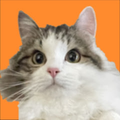 長毛猫のぴーぴな生活アイコン画像
