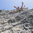LcV-CxtJz7Y-channel-avatar-Via Ferrata Helvetica