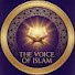 nozn5rlc2Lg-channel-avatar-The voice of Islam 