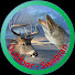 y69qXOWZ6hY-channel-avatar-Outdoor-Swabian