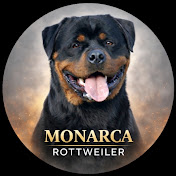 MONARCA • ROTT