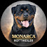 pgKXa3PHzk8-channel-avatar-MONARCA • ROTT