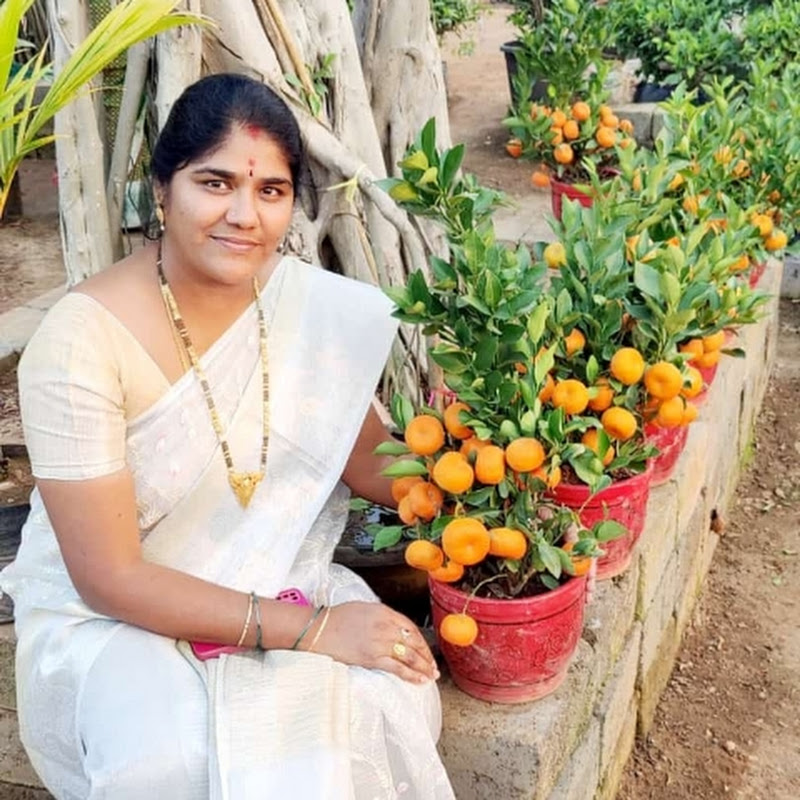 Vijaya Vlogs
