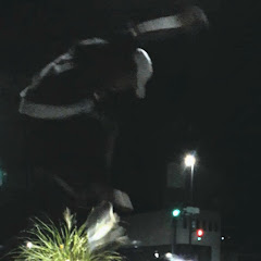sk8kazuki