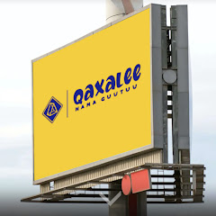 Qaxalee Tube channel logo