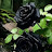 @Faridaahmed77-m8z