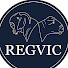 5fMLnuhOERY-channel-avatar-REGVIC