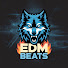 EDM Beats