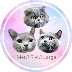 Gray cat bros.アイコン画像