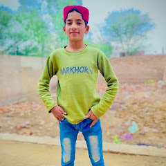 Aqeebvirk1_2