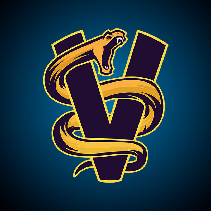 The2ndViper