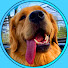 t8G-K9k8Gjs-channel-avatar-Mao Mao
